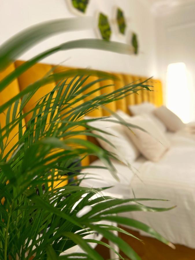 Studio 118 - A Luxury Place,10Min Walk To City Center Timișoara Zewnętrze zdjęcie